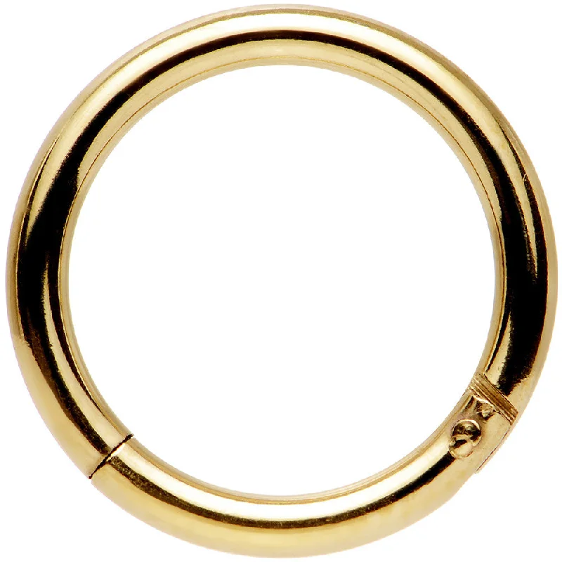 14 Gauge 3/8 Gold Tone Anodized Hinged Segment Ring