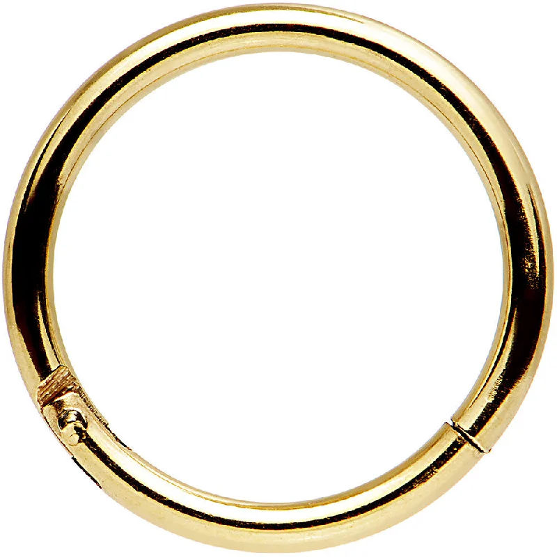 16 Gauge 3/8 Gold Tone Anodized Hinged Segment Ring